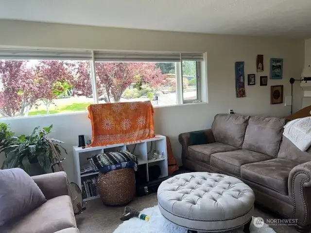 living area lower level