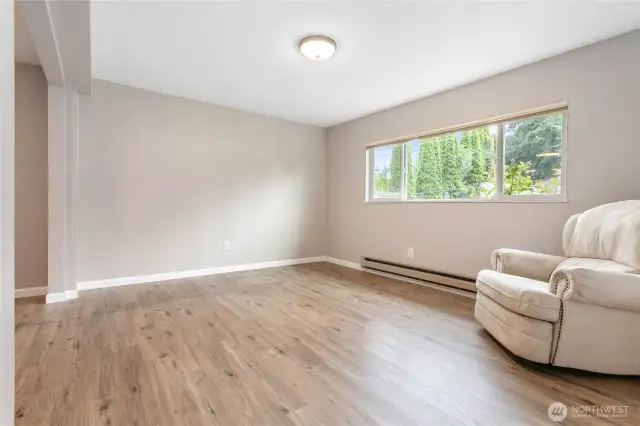Downstairs family room