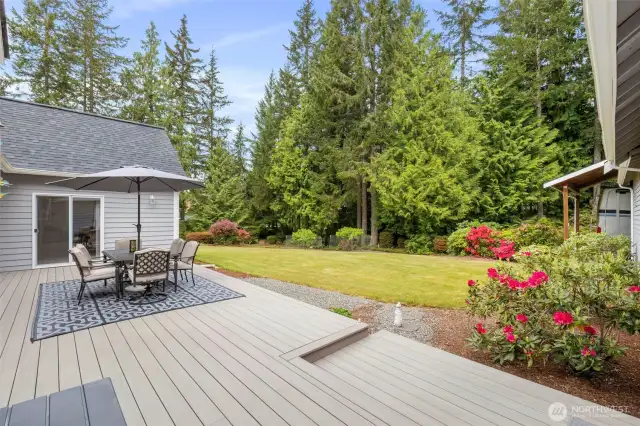 Newer Trex decking