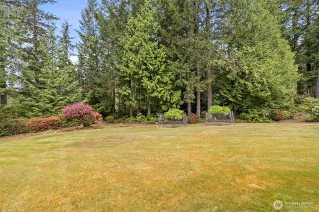 Fruit trees at the edge of the yard, with mature landscaping and trees beyond for privacy.