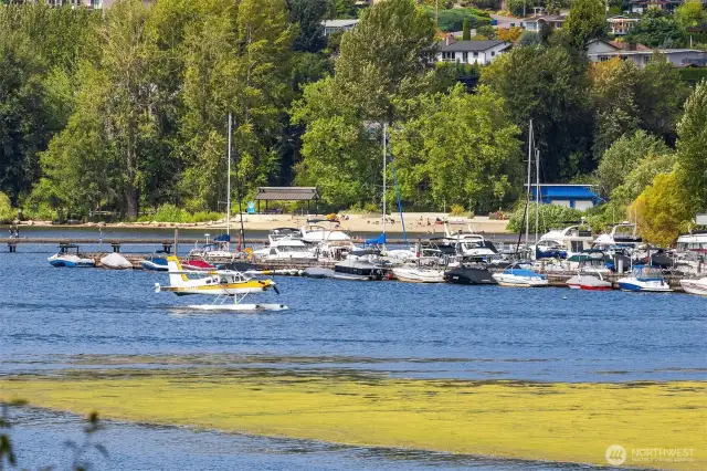 Lake Washington, watch Kenmore Air planes take off and land.