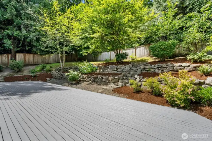 Backyard and decking (just stained)