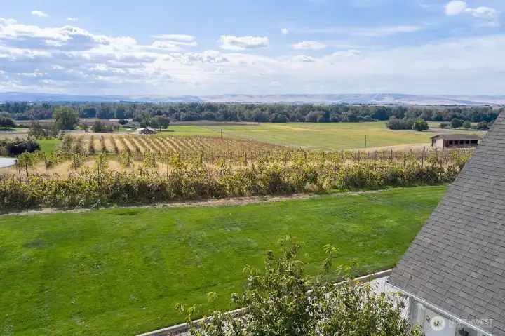 Focus on South View from home