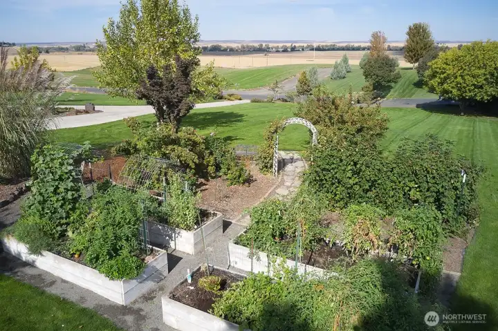 Front Garden w/ raised beds