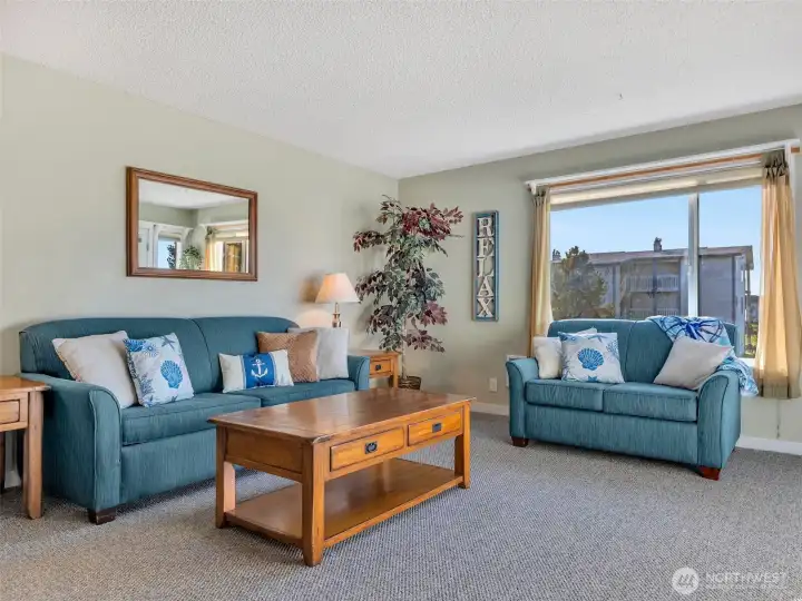 Living room, with large sleeper sofa.