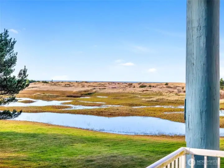 View looking towards ocean from both units 419 and 420.