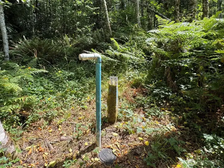 Neighboring property water valve at the easement