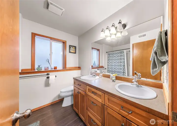 Lower level bathroom