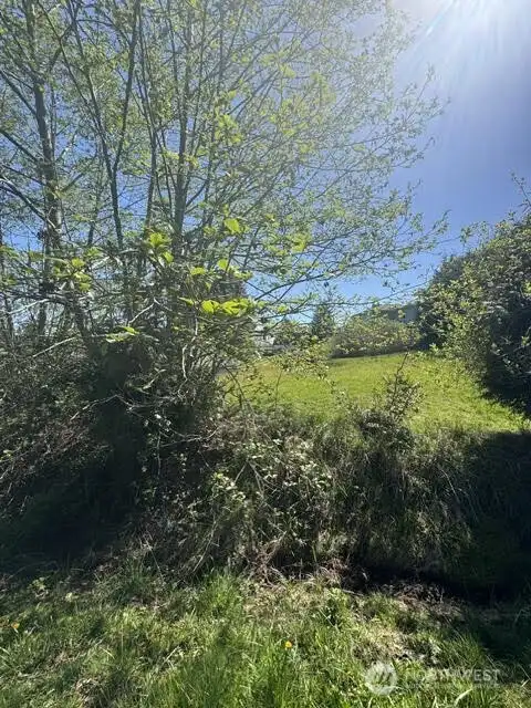 Looking into lot from Street