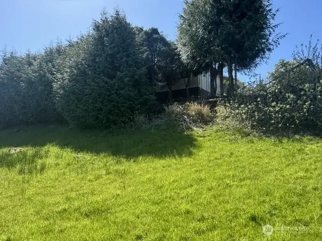 looking south, already landscaped for privacy