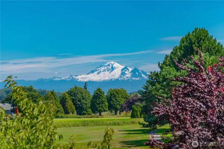 Gorgeous views from many places on golf course