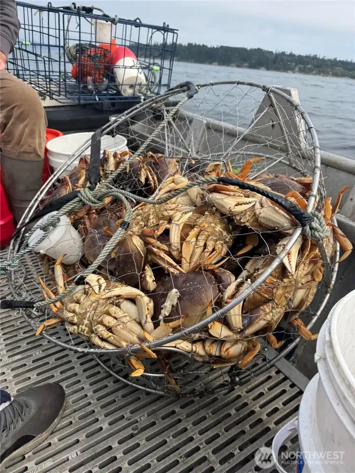 Many activites availabale, for instance some of the best crab fishing in Washinton State.