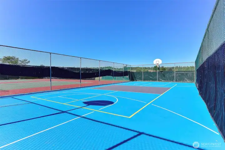 pickle ball court