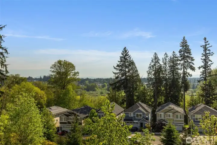 Wonderful green view mixed with a backdrop of the mountains.