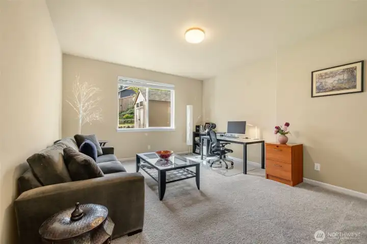 Lower level rec room or living room for potential MIL with separate access.