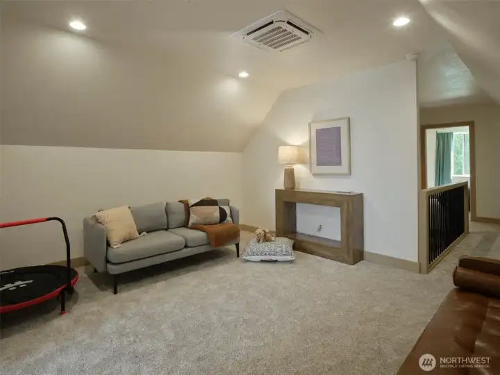 Loft/Family Room
