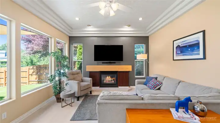Gas fireplace and media space in informal living