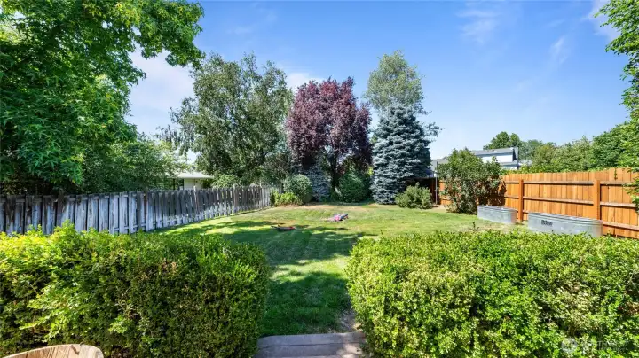 Backyard with mature landscaping