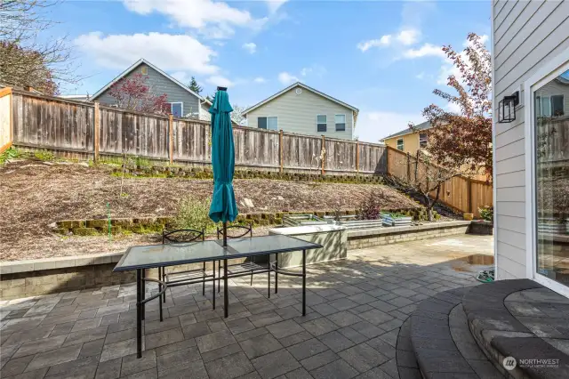 Spacious Back Yard with new paver patio and fruit trees