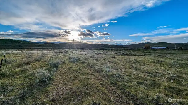 Looking west across the Southern property line.