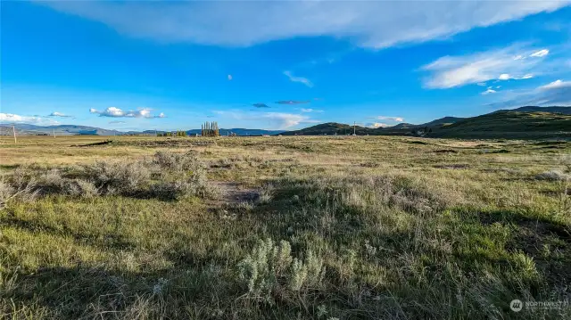 South view from center of property.