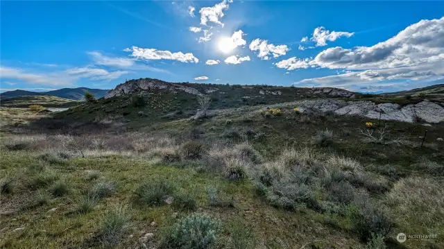 Looking west from Center north area of property.