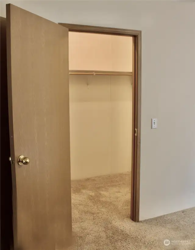 Walk-in Primary closet