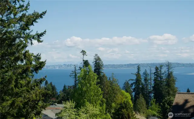 Seattle Skyline view from upper level