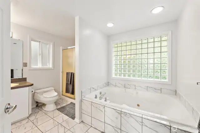 spa-like with jetted tub master bathroom