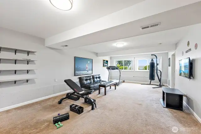 bonus room (daylight basement)