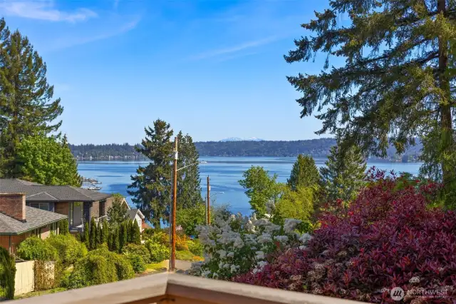 Enjoy views and relaxation from this expansive wraparound front deck, offering serene scenery from every angle.