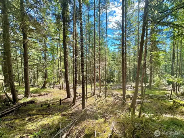 The additional vacant parcel has filtered water views and level building potential. An additional water membership is included.