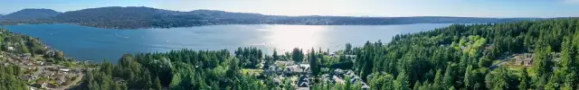 Aerial View above the house showing what a grand neighborhood you would be moving to.