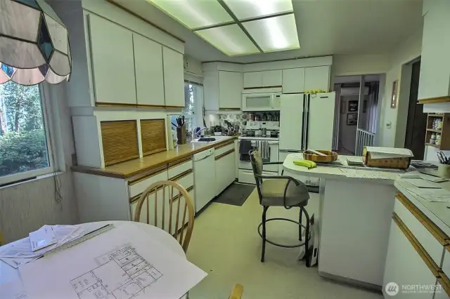 Can you see your Dream Kitchen vision now!