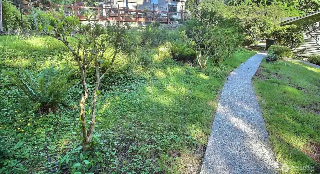 Path from the house to back yard