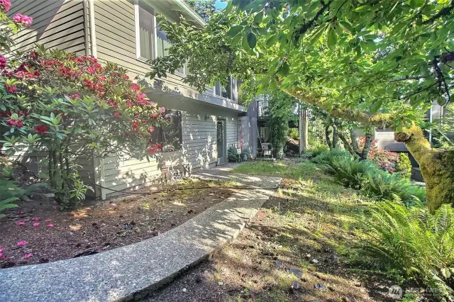 Entry to basement