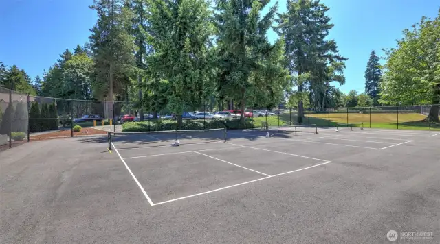 Pickle Ball Courts