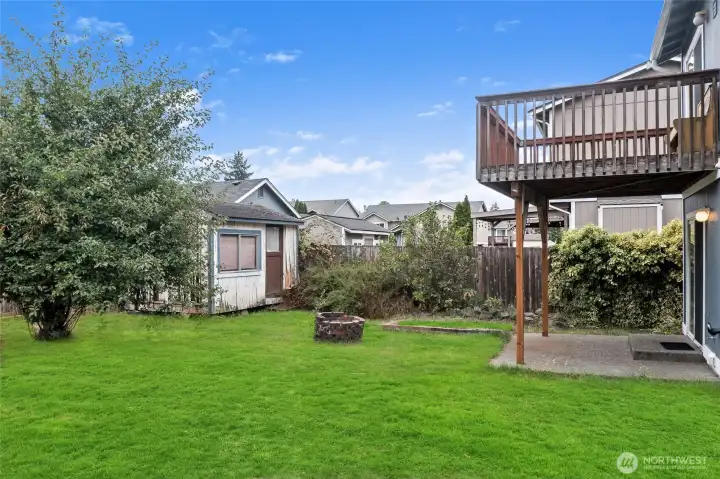 Backyard.