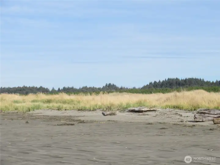 YOU CAN SEE THE BACK SIDE OF THE PROPERTY ON DRIFTWOOD!