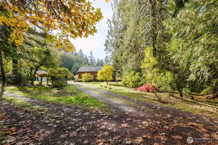 The approach to the home