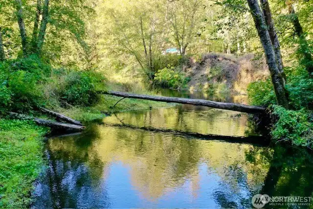 Creek with squirrel bridge