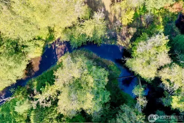 Unique view of Sherwood Creek running from Mason Lake to North Bay