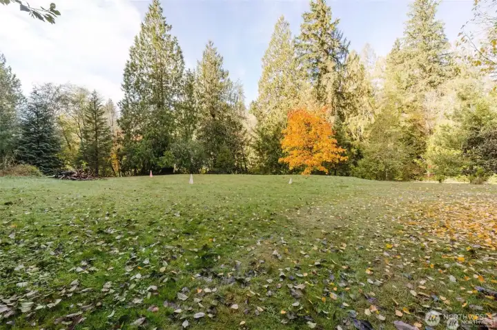 Open Area - Currently an 18-hole Disc Golf Course