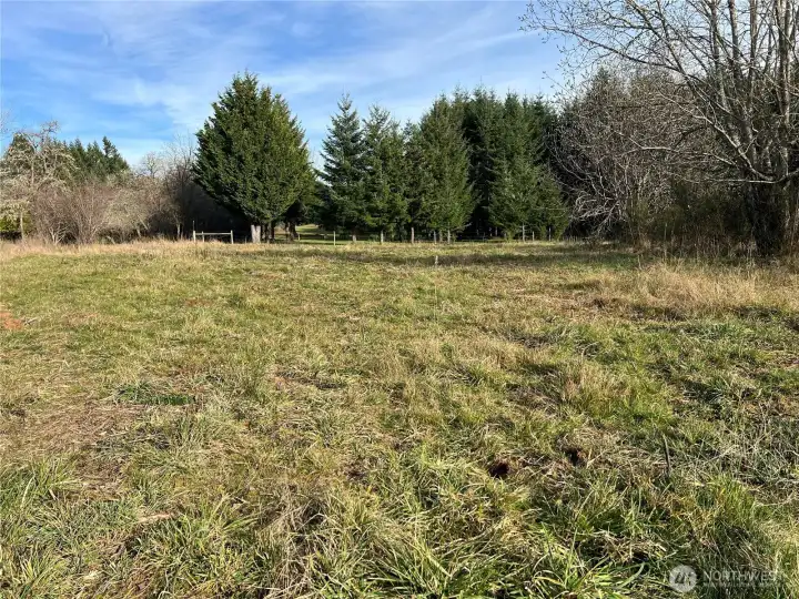Facing east. Fence line is property line.