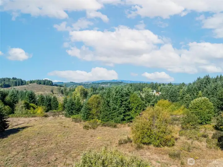 Facing west. Patch of trees is about middle of the property of previous photo.