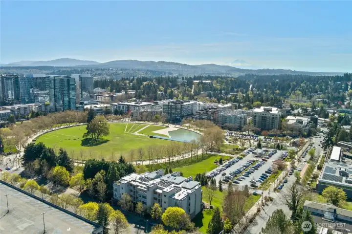 Unique and desirable. Located in the NW Corner of Bellevue Park