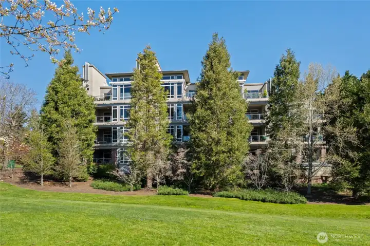 South facing patio and back windows for abundant natural light