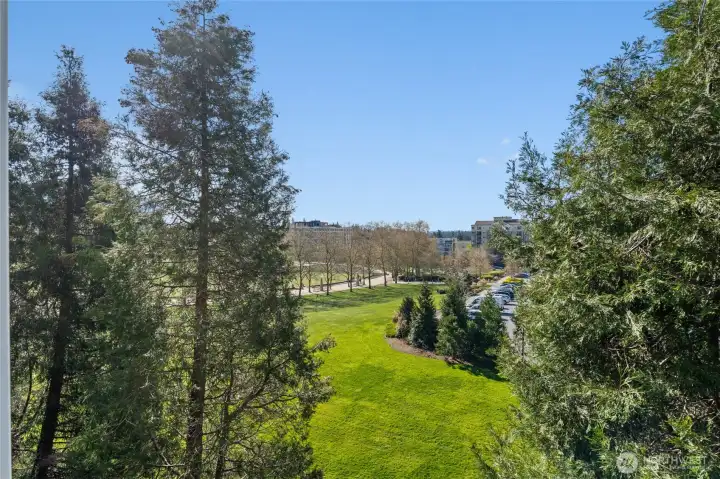 Unobstructable view of the park!