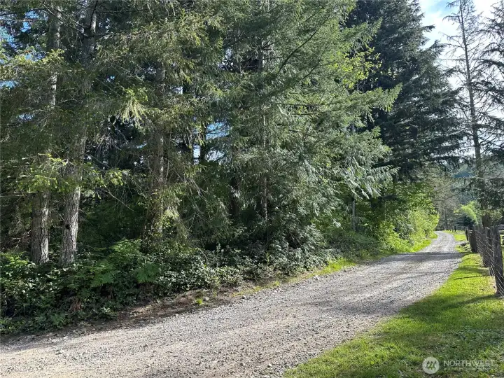 Looking East up SE 107th St