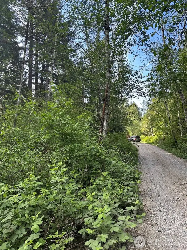 Looking North up 348th Ave SE